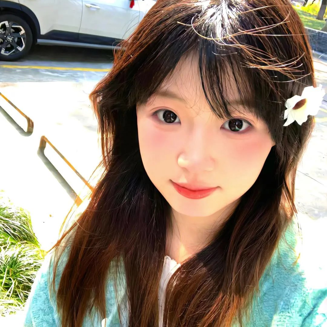 山丹丹花儿开